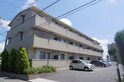 ｃｏｎｉｆｅｒ（コニファー）