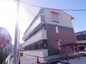 ゼピュロスみどりのＦ