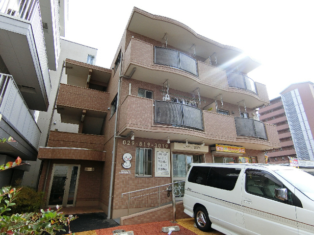 ハイビスカスツクバ
