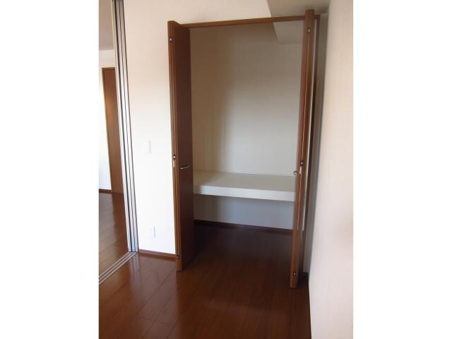 物件内観写真29　(2.8帖洋室収納)