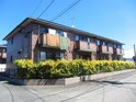 サンライフ市の玉