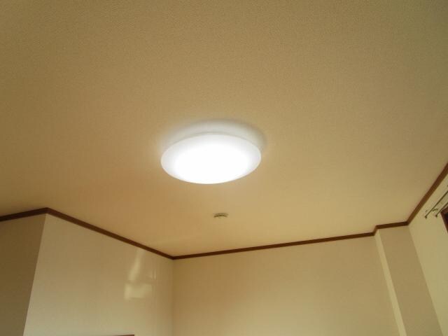 物件内観写真30　(照明器具)