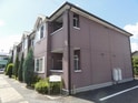 グランディールパイン