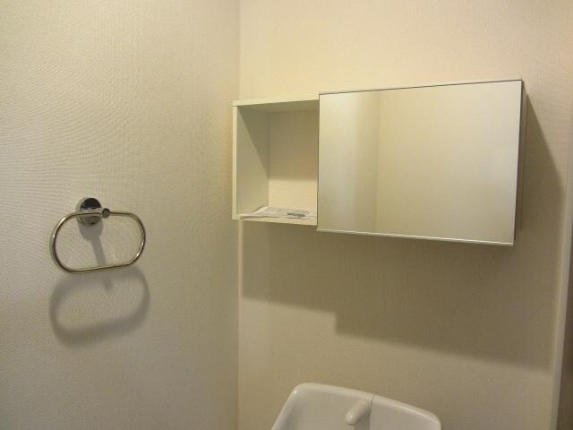 物件内観写真22　(ミラー付収納)