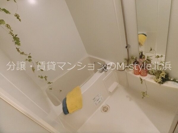 風呂画像