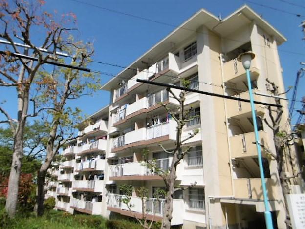 花山東団地　１３号棟