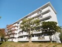 ひよどり台団地　１１９号棟