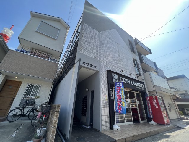 カサ水木
