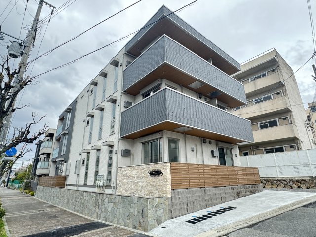 Sansevieria夏原