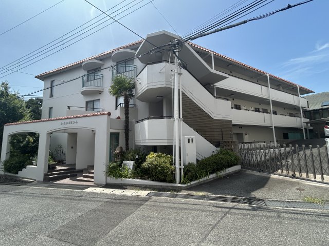 シャムロック2コート