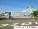 ステラ・リーヴァⅤ