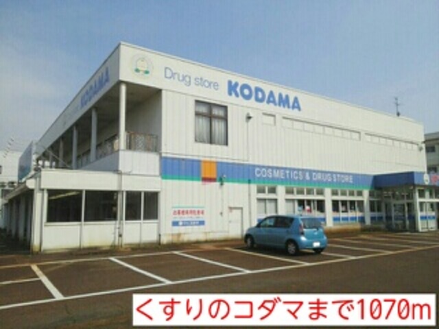 Ｙ．Ｈ　シーザリオ
