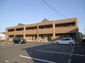 ひまわり