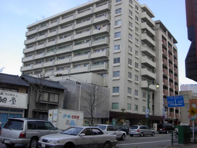 西堀カメリア