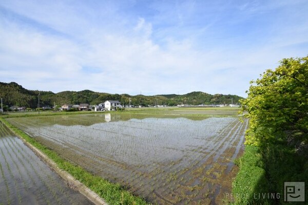 眺望(※同間取り別室の写真です。)