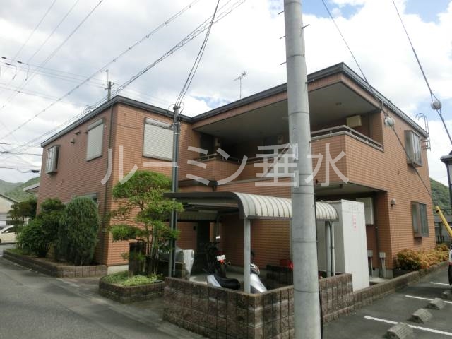 彩