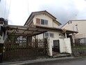 桜低