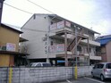 杉沢ハイツ