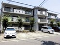 ホワイトフェアリー野上