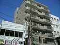 プリムローズ
