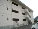ＨＯＵＳＥ　ＴＥＮＭＡ（ハウステンマ）