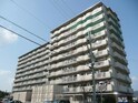 サンライズマンション岩出Ⅱ ３１１号