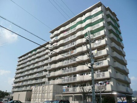 サンライズマンション岩出Ⅱ ３１１号外観写真