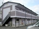 グリーンフル光