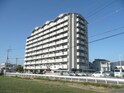 シャルマンフジ岩出五番館９０５号