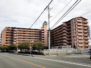 サンライズマンション岩出１１ ９０２号外観写真