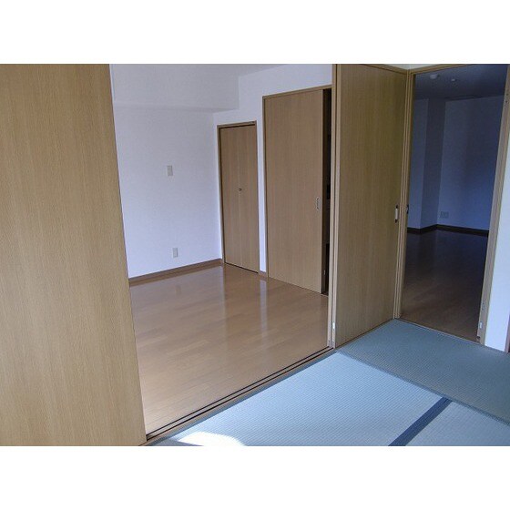 物件内観写真7　(同部屋タイプ・現状優先)