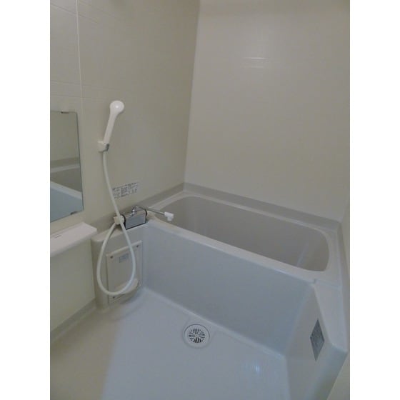 物件内観写真9　(同部屋タイプ・現状優先)