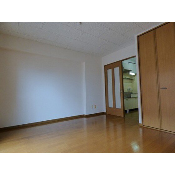 物件内観写真13　(同部屋タイプ・現状優先)