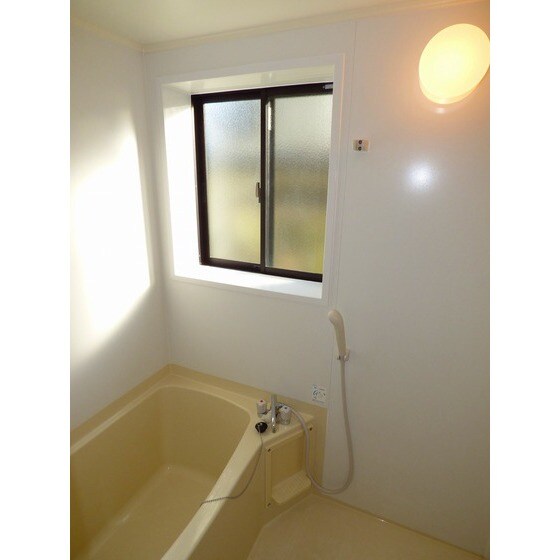 物件内観写真9　(同部屋タイプ・現状優先)