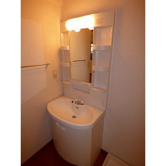 物件内観写真10　(同部屋タイプ・現状優先)