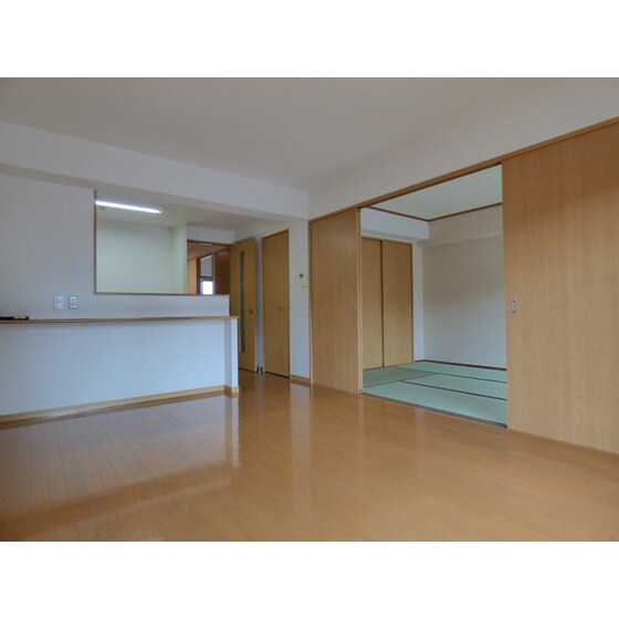 物件内観写真6　(同部屋タイプ・現状優先)