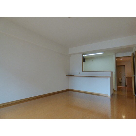 物件内観写真16　(同部屋タイプ・現状優先)