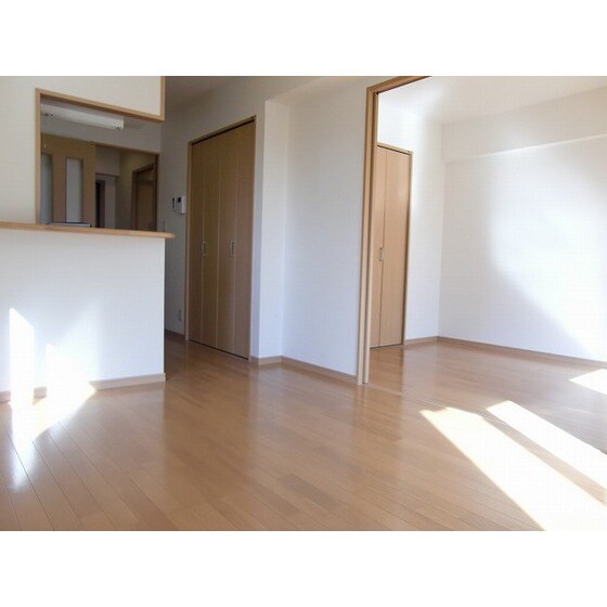 物件内観写真6　(同部屋タイプ・現状優先)