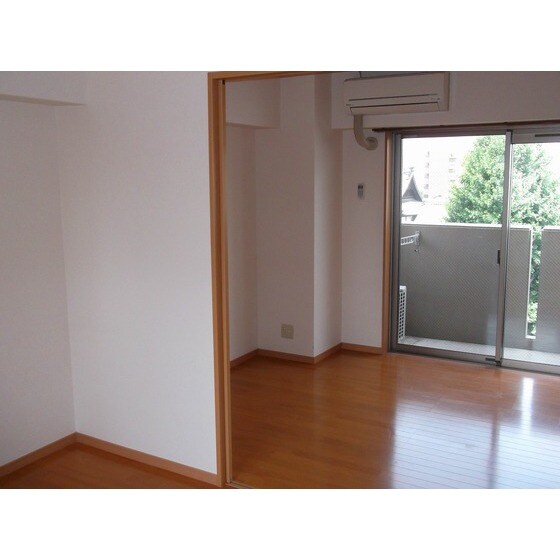 物件内観写真7　(同部屋タイプ・現状優先)