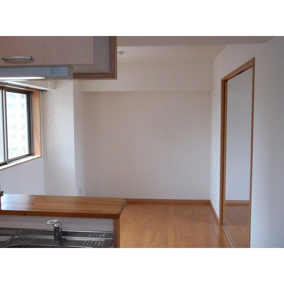 物件内観写真16　(同部屋タイプ・現状優先)