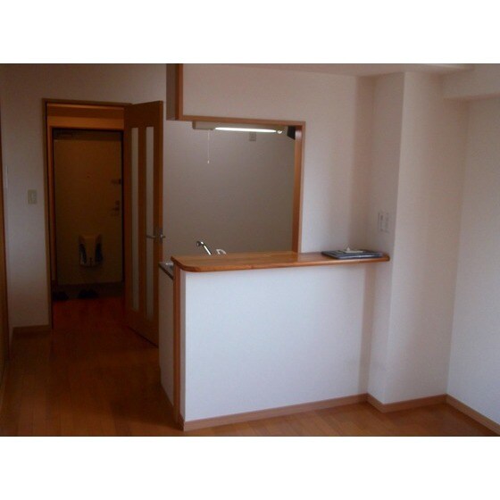 物件内観写真18　(同部屋タイプ・現状優先)