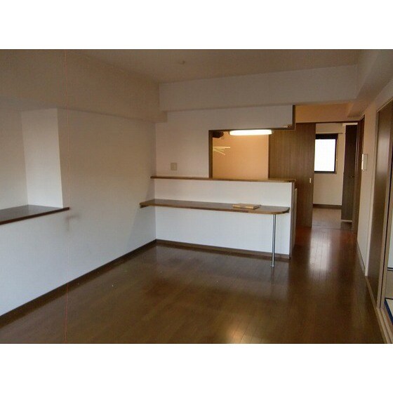 物件内観写真6　(同部屋タイプ・現状優先)