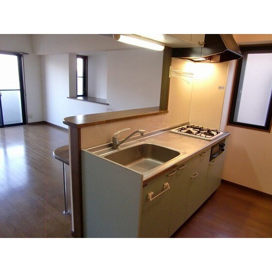 物件内観写真9　(同部屋タイプ・現状優先)