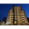 アルティメット国府