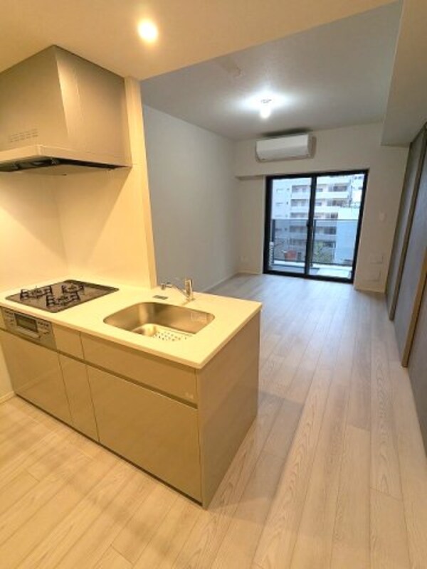 建物設備(カウンターキッチン、エアコン2台付、リビングには高性能エアコ)