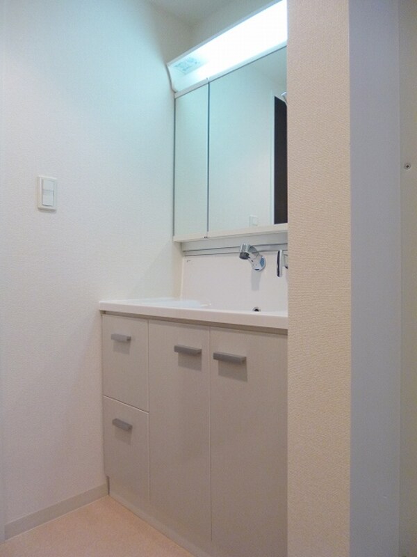 洗面・脱衣所(三面鏡付ハンドシャワー付独立洗面室)