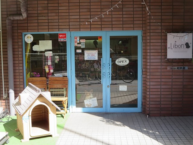 物件内観写真33　(ペットサロンＬｉｂｏｎ 479m)