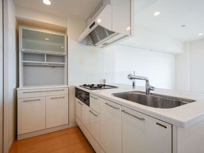 物件内観写真3　(同反転タイプ参照)