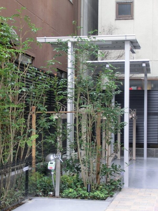 建物設備(駐輪場)