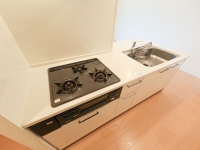 物件内観写真10　(キッチン・同タイプ参照)